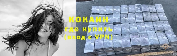 винт Дмитриев