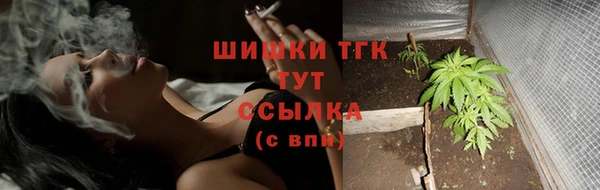 винт Дмитриев
