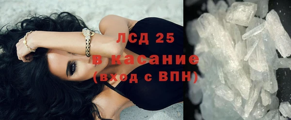 шишки Дмитровск