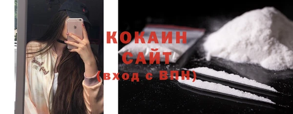 шишки Дмитровск