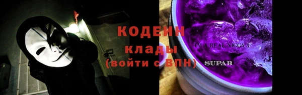 шишки Дмитровск