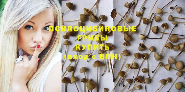 не бодяженный Дмитров