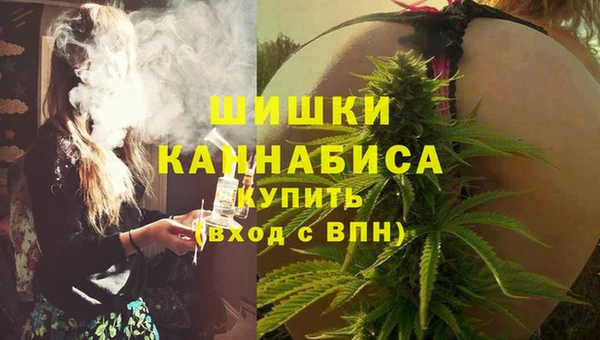 винт Дмитриев