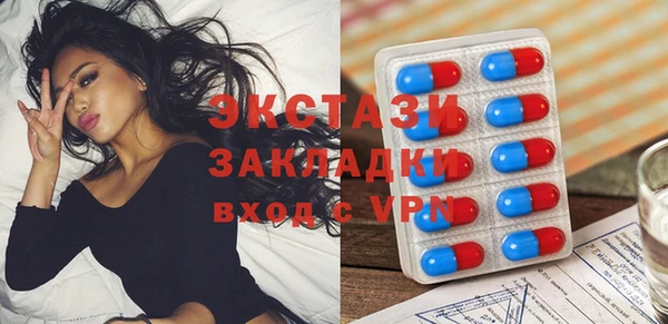 шишки Дмитровск