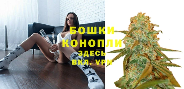 винт Дмитриев