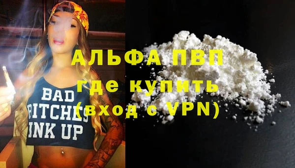 шишки Дмитровск