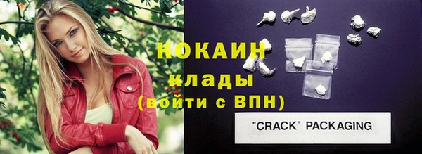 винт Дмитриев